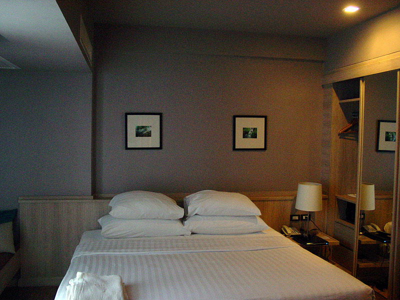 Attached Image: DSC02946 copy.jpg