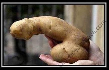 Attached Image: SPUD.jpg
