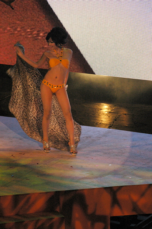 Attached Image: DSC_0334.jpg
