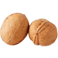 Wallnut