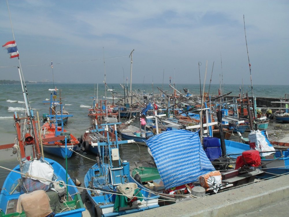 Hau Hin fishing fleet.jpg