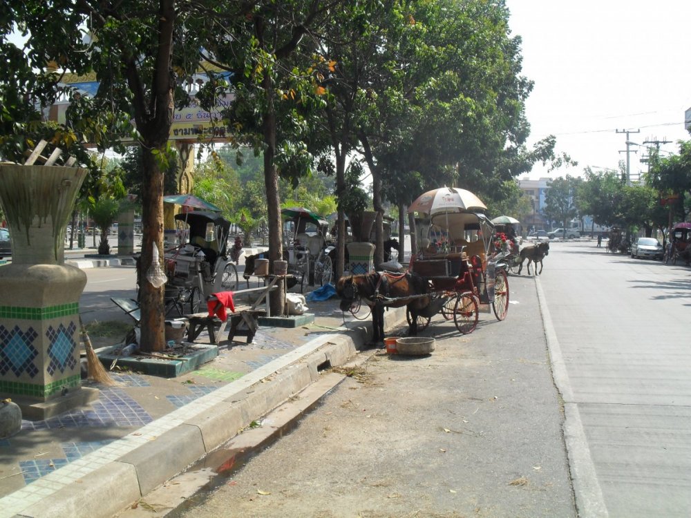 Lampang horse carriages.jpg