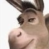 littledonkey